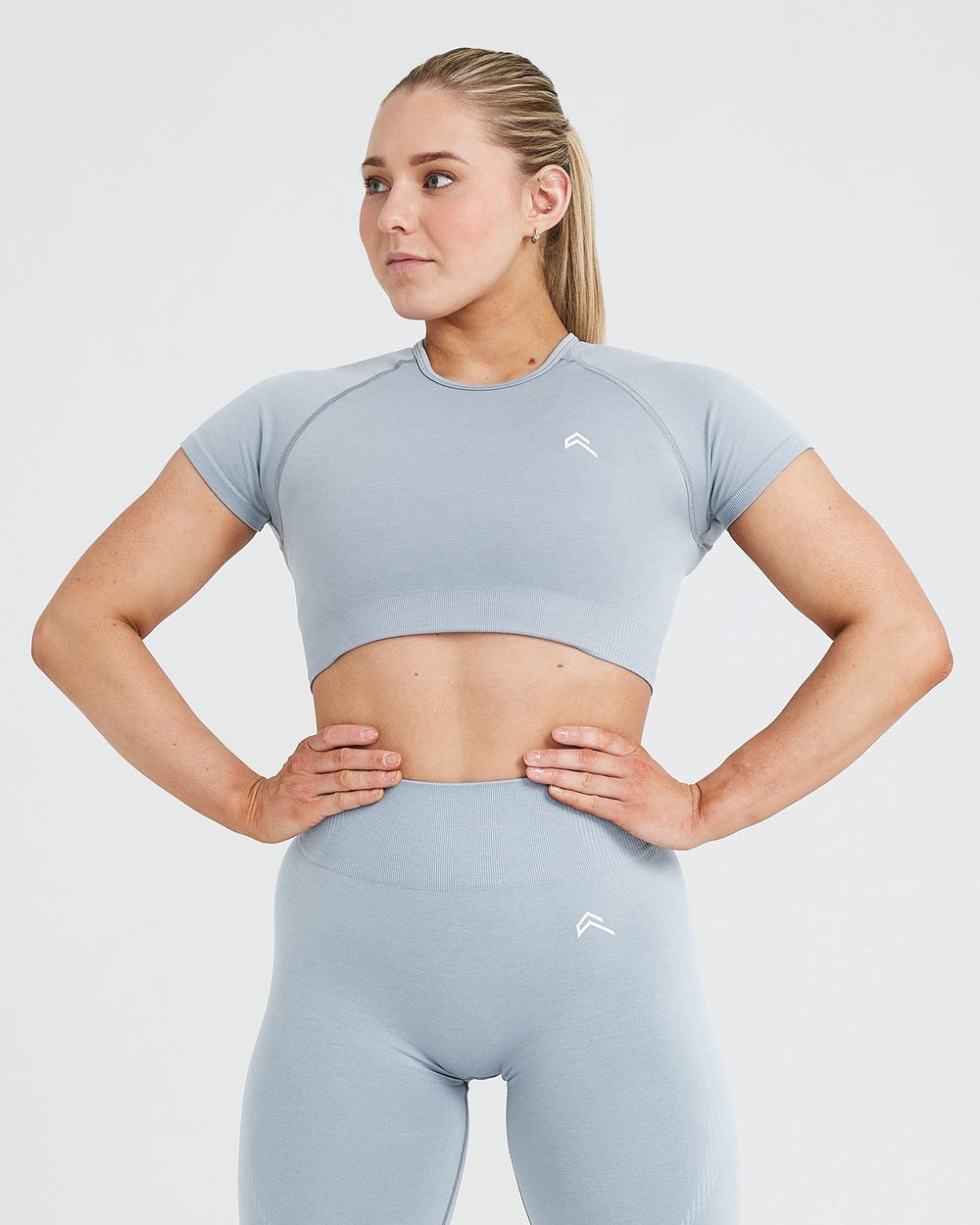 Oner Active Classic Seamless 2.0 Krátké Sleeve Crop Top Šedé | 41ZNSXVHT