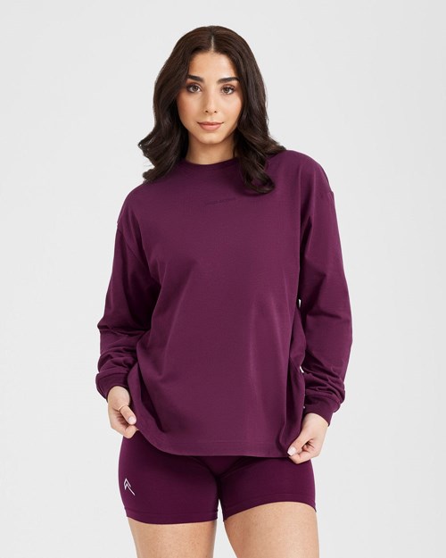 Oner Active Classic Mirror Grafická Oversized Long Sleeve Top Washed Ripe Fig | 54DKVFQHX