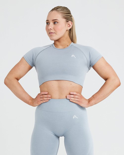 Oner Active Classic Seamless 2.0 Krátké Sleeve Crop Top Šedé | 41ZNSXVHT