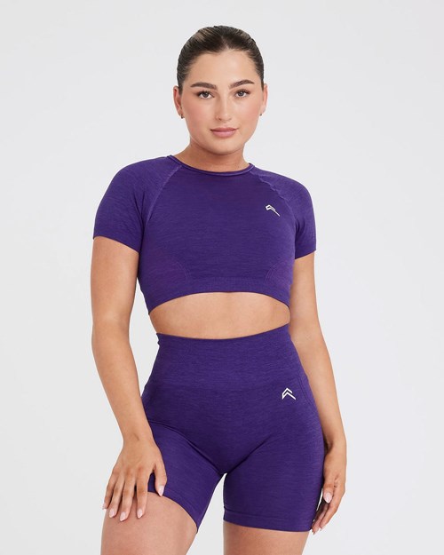 Oner Active Effortless Seamless Krátké Sleeve Crop Top Amethyst | 29UYCFJRS