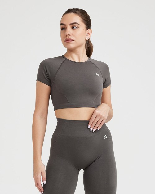 Oner Active Effortless Seamless Krátké Sleeve Crop Top Tmavě | 31LEBZIXS