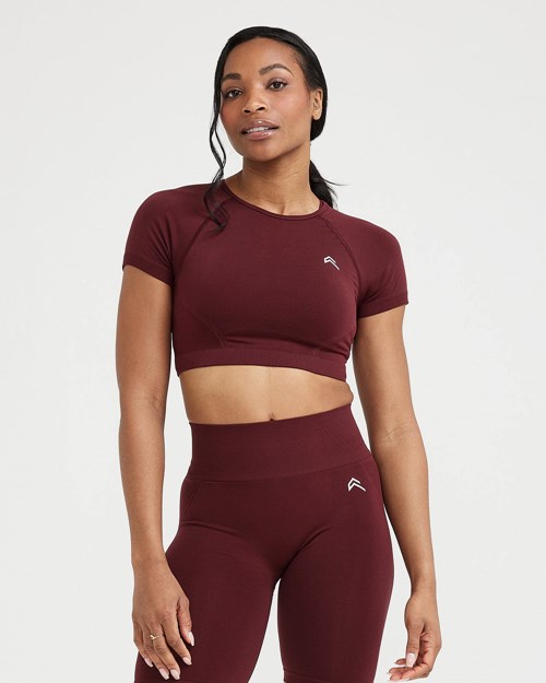 Oner Active Effortless Seamless Krátké Sleeve Crop Top Rosewood | 85ZVNMQBJ