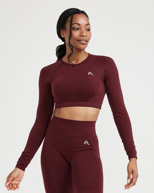 Oner Active Effortless Seamless Long Sleeve Crop Top Rosewood | 19QAEMBHZ